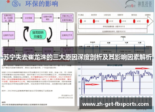 苏宁失去崔龙洙的三大原因深度剖析及其影响因素解析