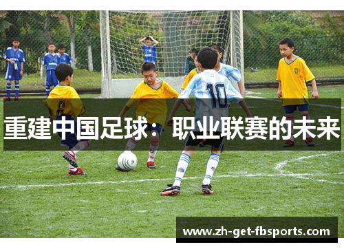 重建中国足球：职业联赛的未来
